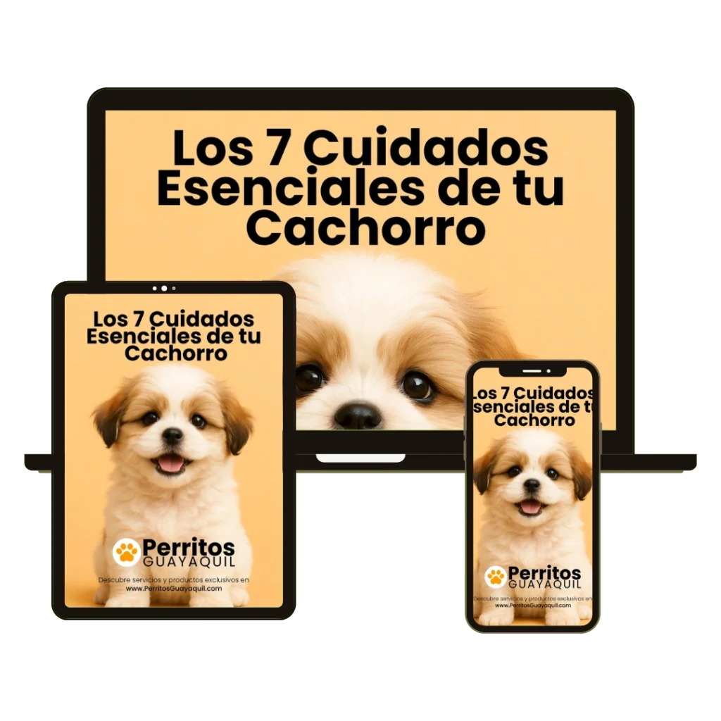 Ebook Los 7 Cuidados Esenciales de tu Cachorro