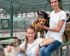 tipo de perro recomiendan adoptar