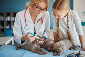 Vacunas Cachorros Ecuador Perritos Guayaquil